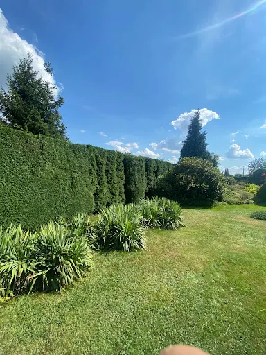 Zielony Ogród Radlin